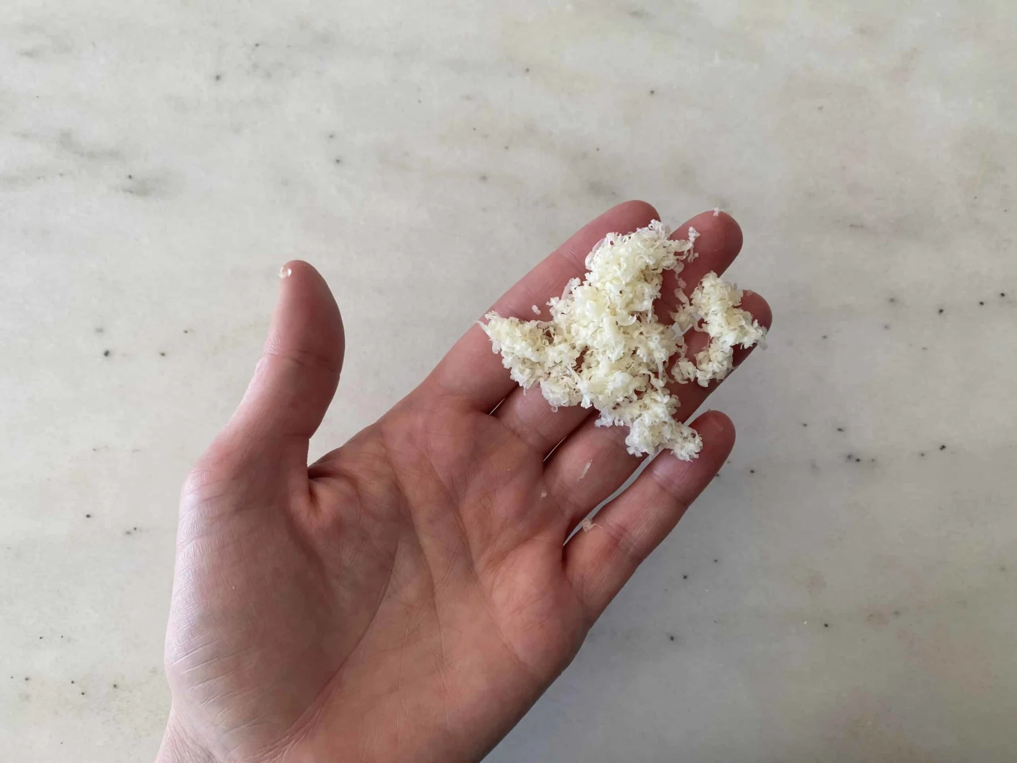 a hand holding a small clump of grated parmesan cheese