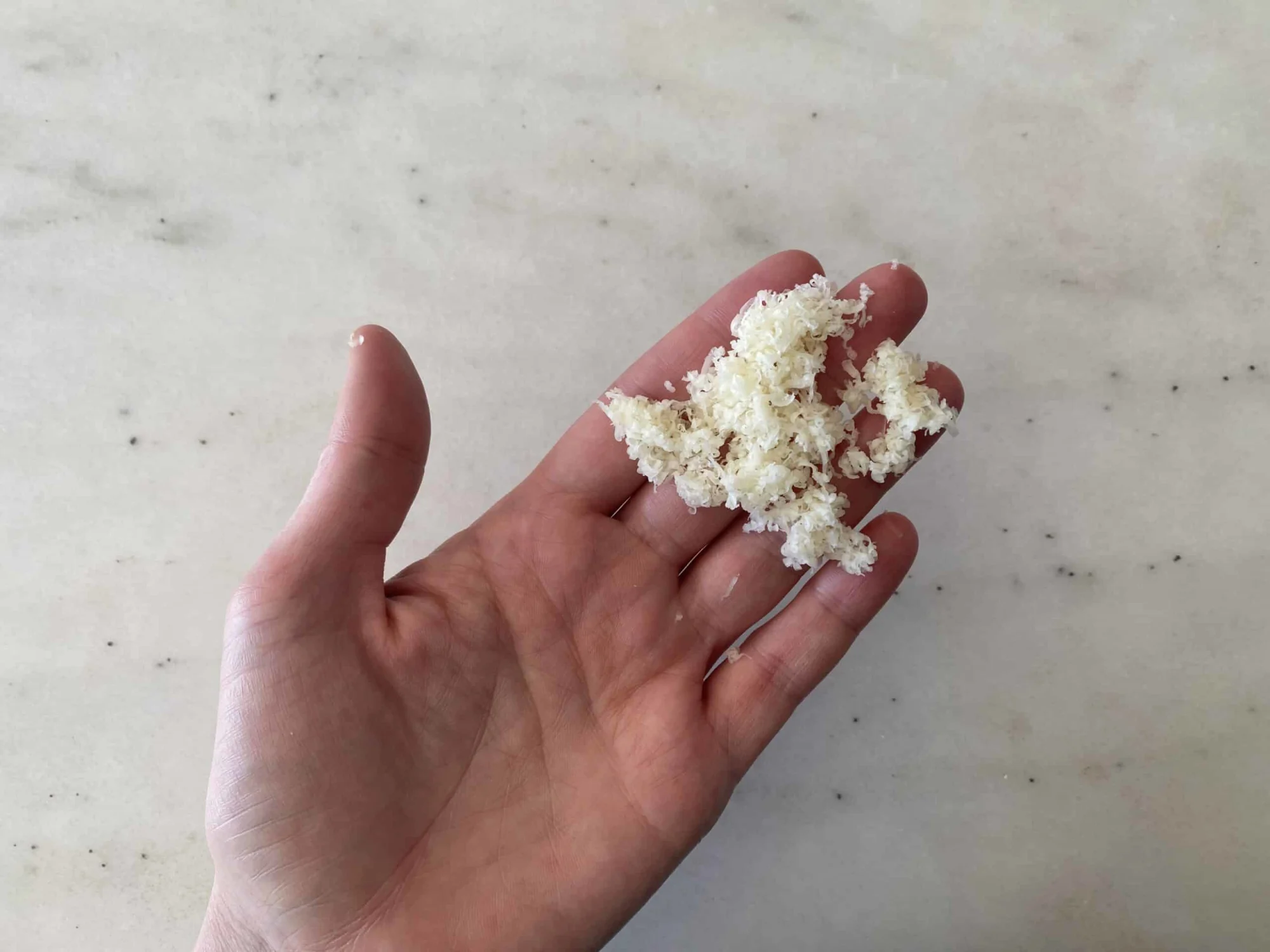 a hand holding a small clump of grated parmesan cheese for toddlers 12 mos+