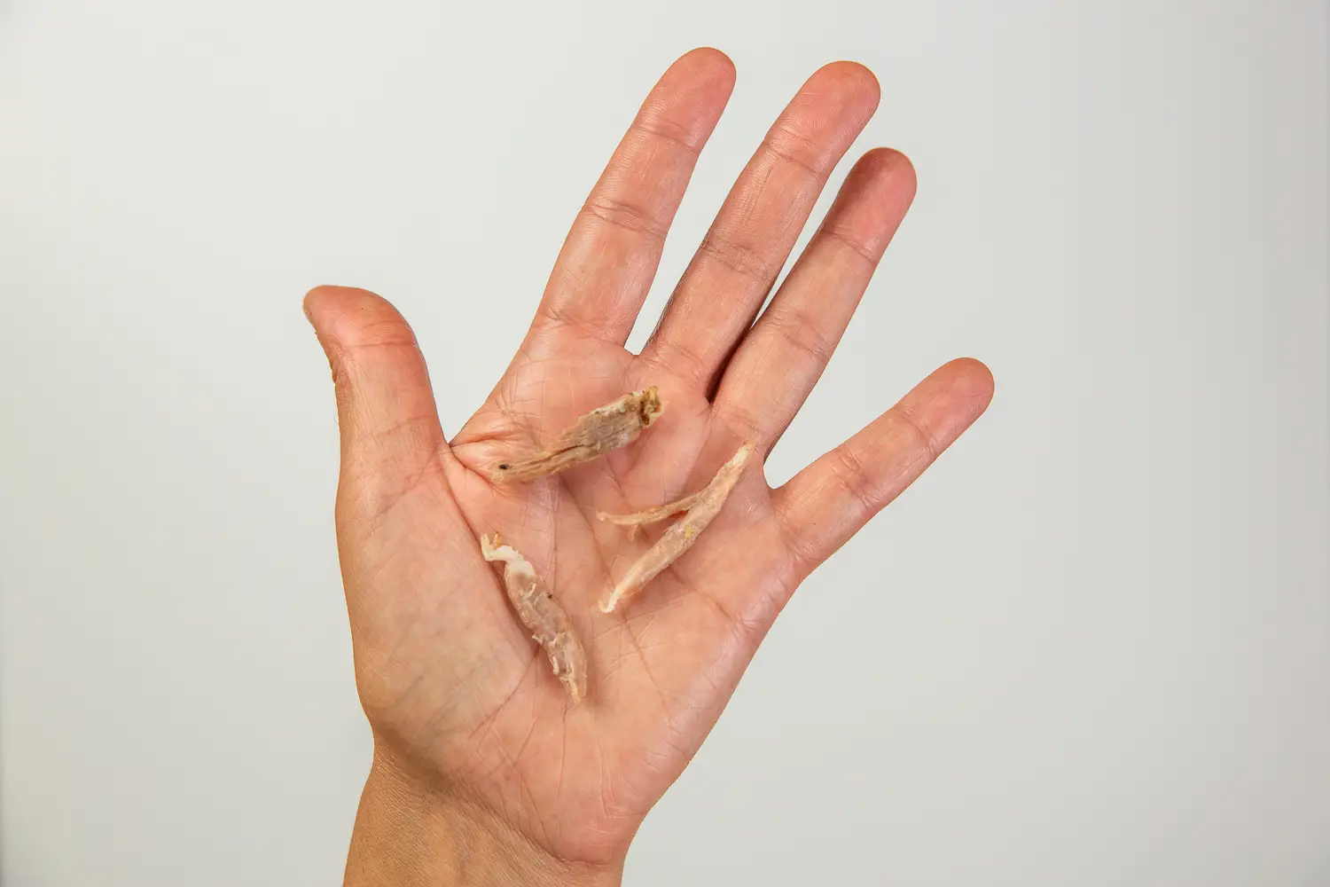 a photograph of a hand holding small shreds of meat torn from the rib bone