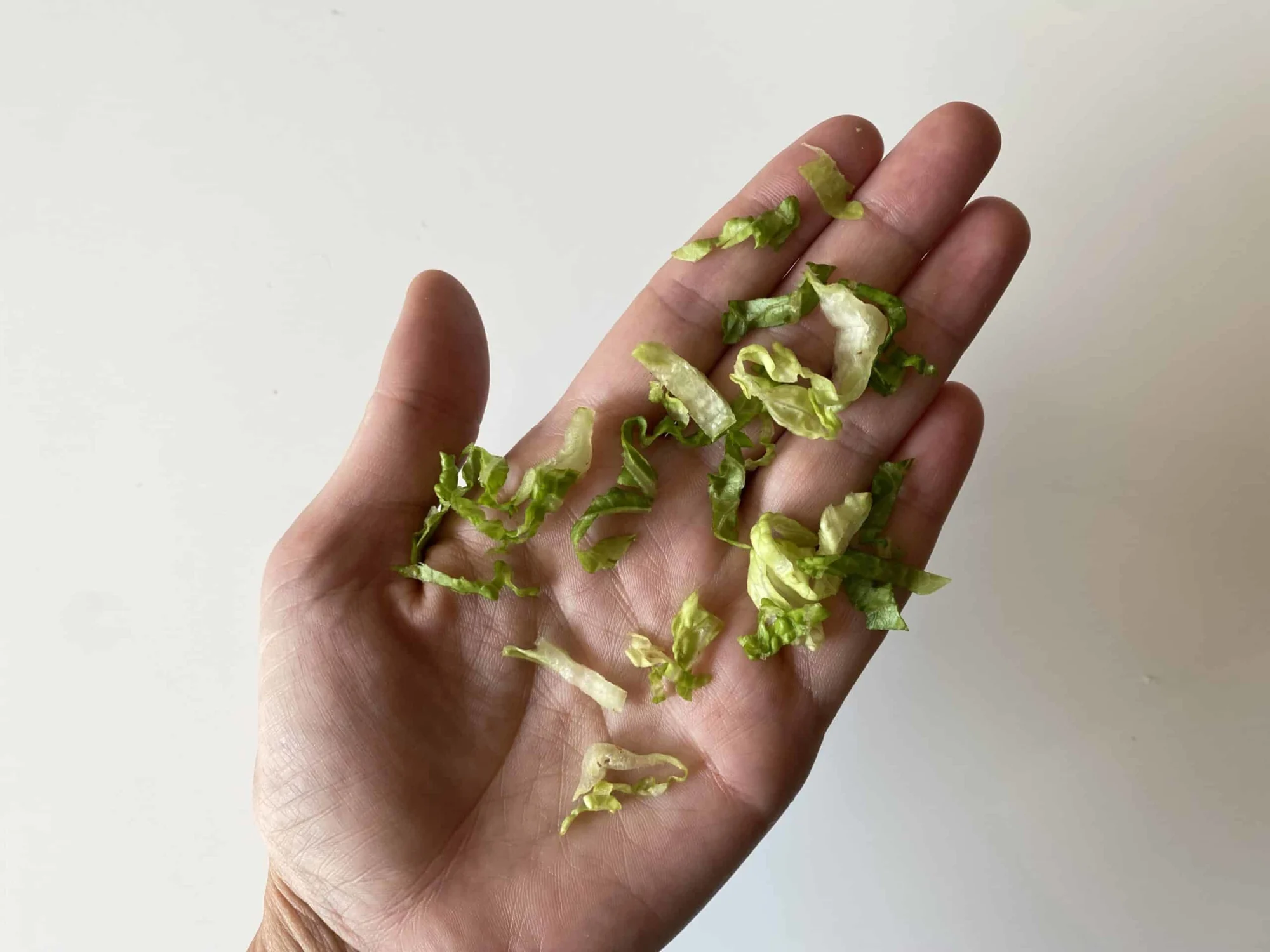 a hand holding finely chopped pieces of romaine for babies 9 months+