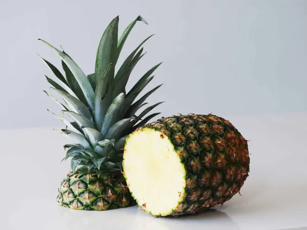 A whole pineapple with the crown cut off and standing next to it before being prepared for babies starting solid food