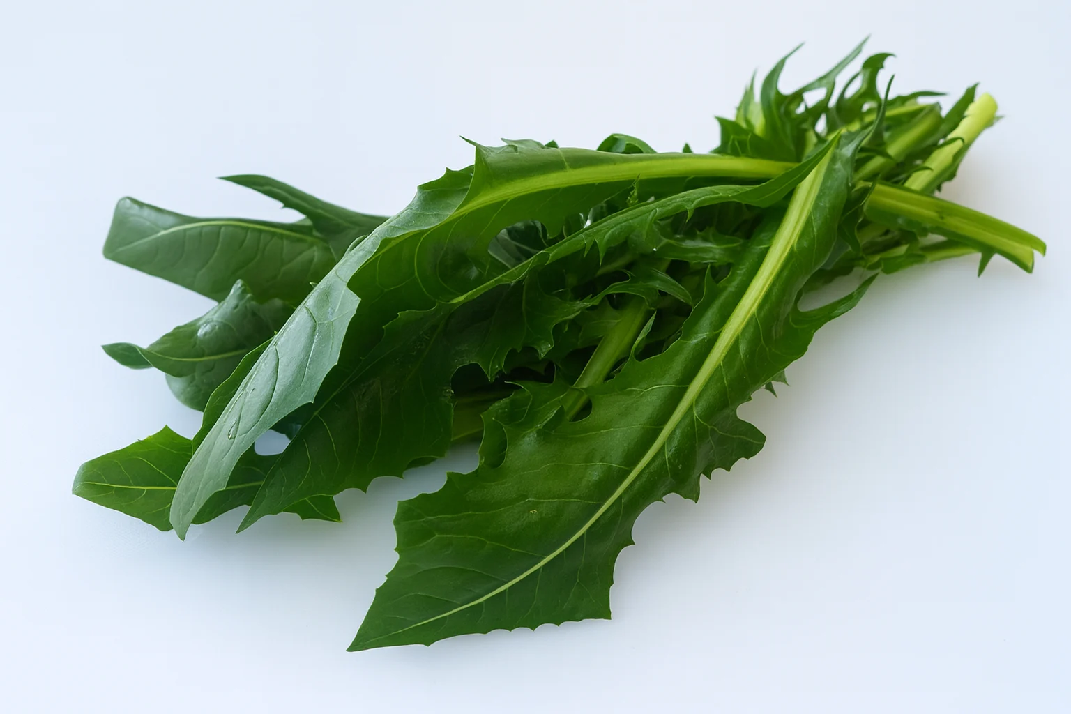 a photograph of a bunch of raw dandelion greens on a white background