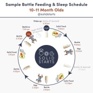 Baby Feeding Schedules By Month From 6 To 24 Months Solid Starts