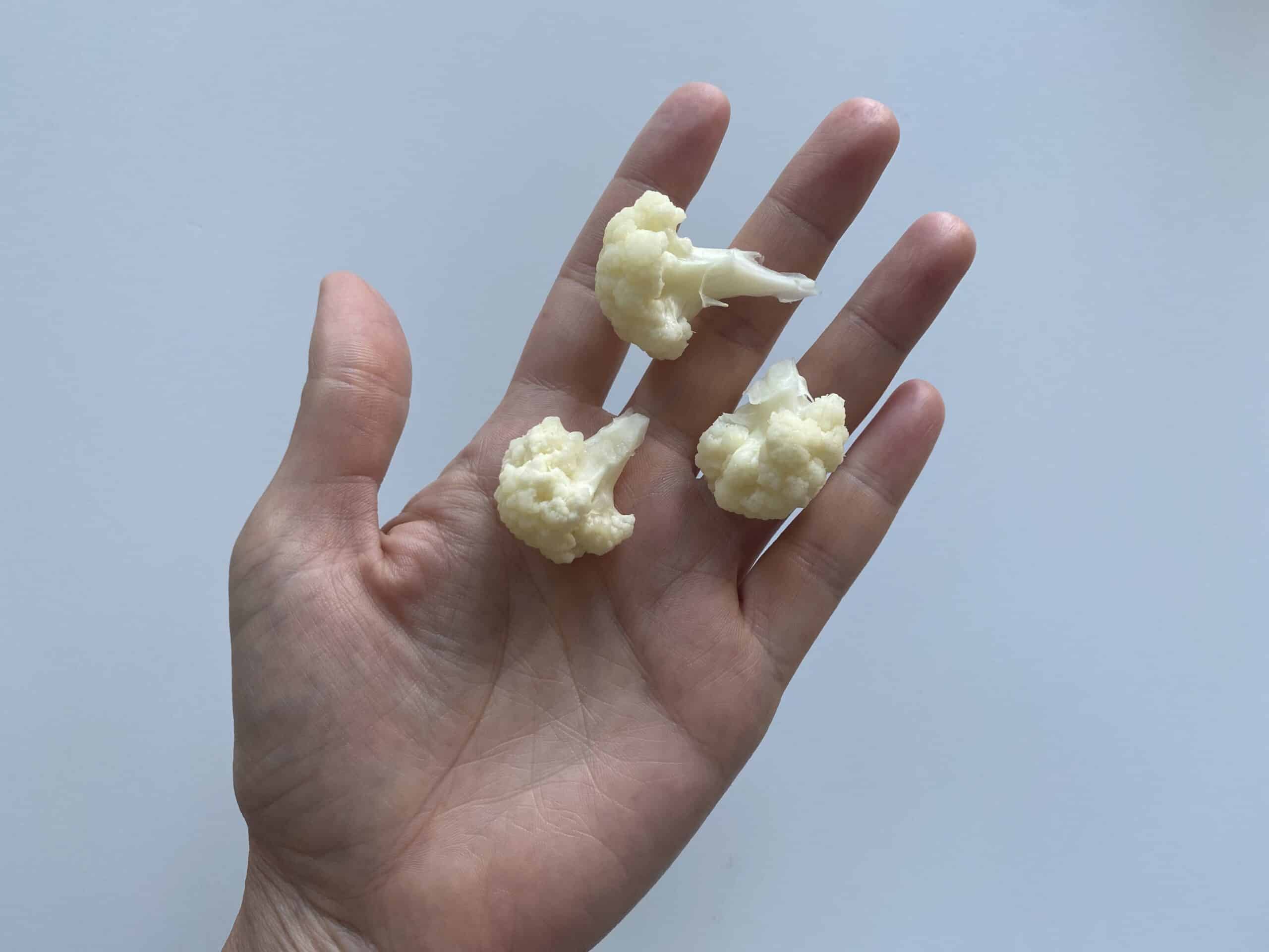 a hand holding three small cauliflower florets cooked until soft for babies 9 months+