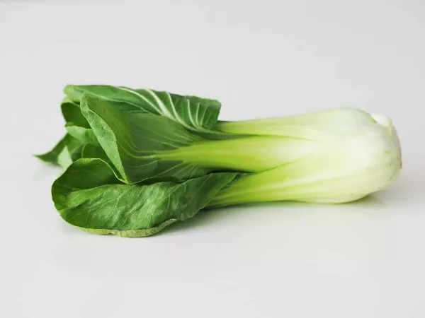 fresh bok choy on a table before being prepared for babies starting solid food