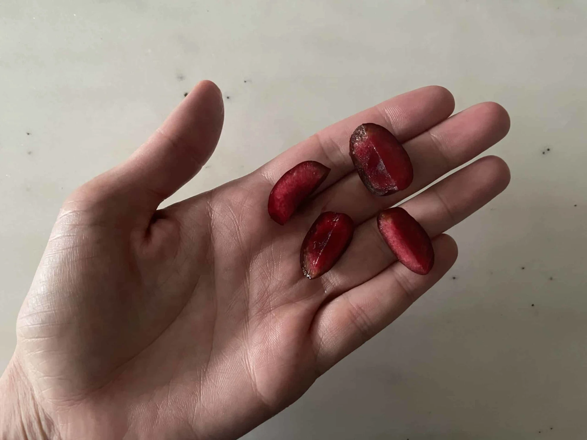 a photograph of a hand holding four quartered dark red cherries