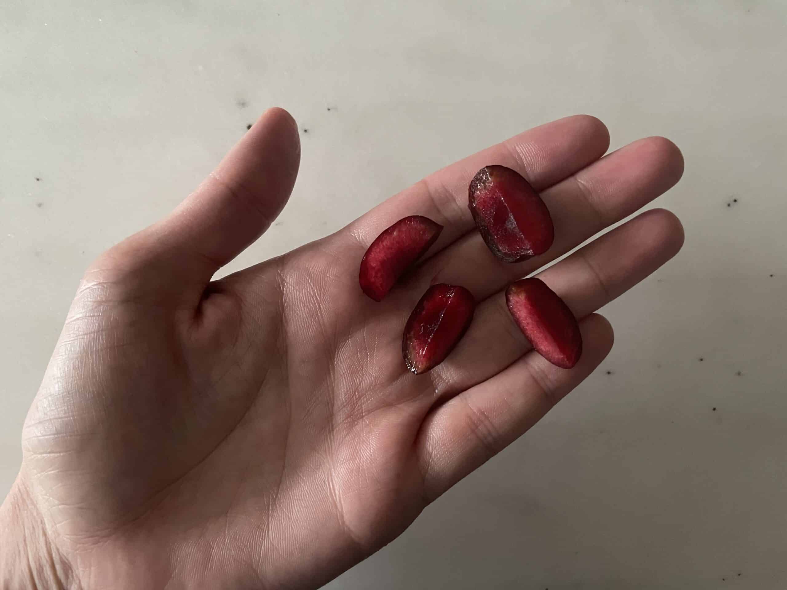 a hand holding four quartered dark red cherries