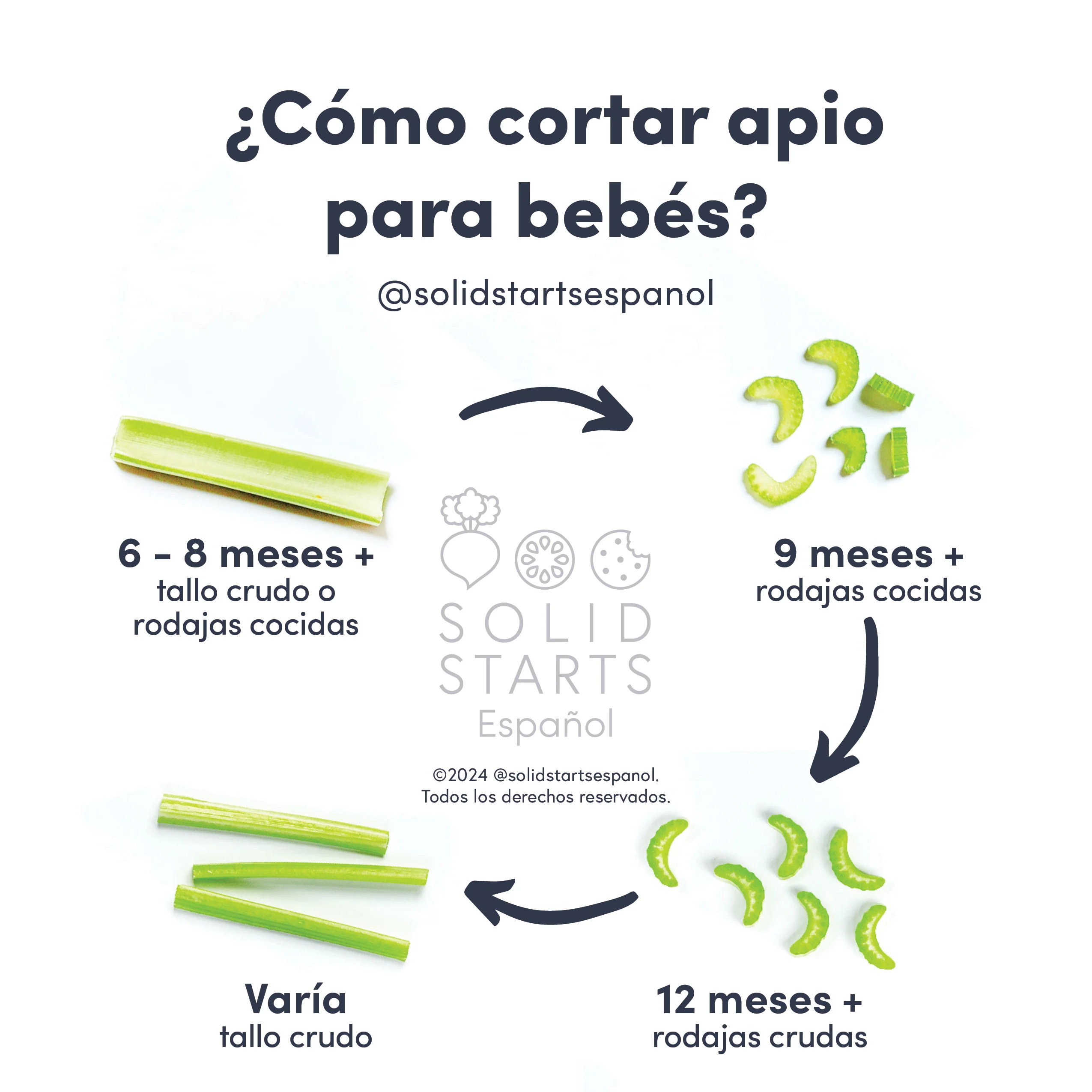 a Solid Starts infographic with the header How to Cut Celery for Babies: raw stalk or cooked slivers for 6-8 mos, cooked slivers for 9 mos+, raw slivers for 12 mos+, and age varies for raw sticks