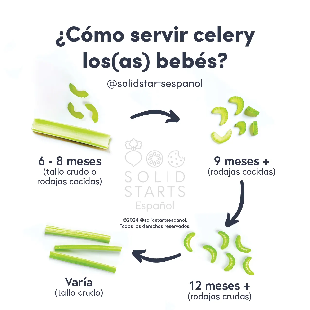 a Solid Starts infographic with the header How to Cut Celery for Babies: raw stalk or cooked slivers for 6-8 mos, cooked slivers for 9 mos+, raw slivers for 12 mos+, and age varies for raw sticks
