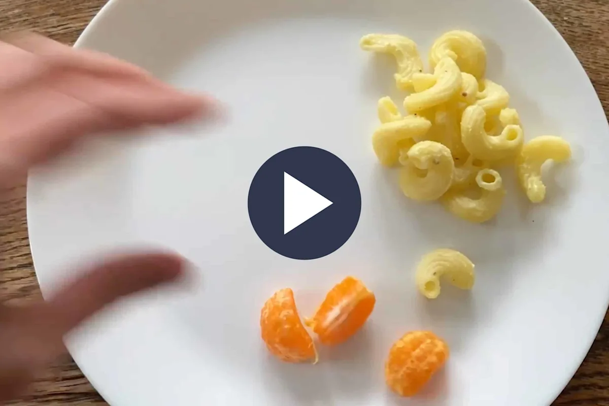 Safety food strategy