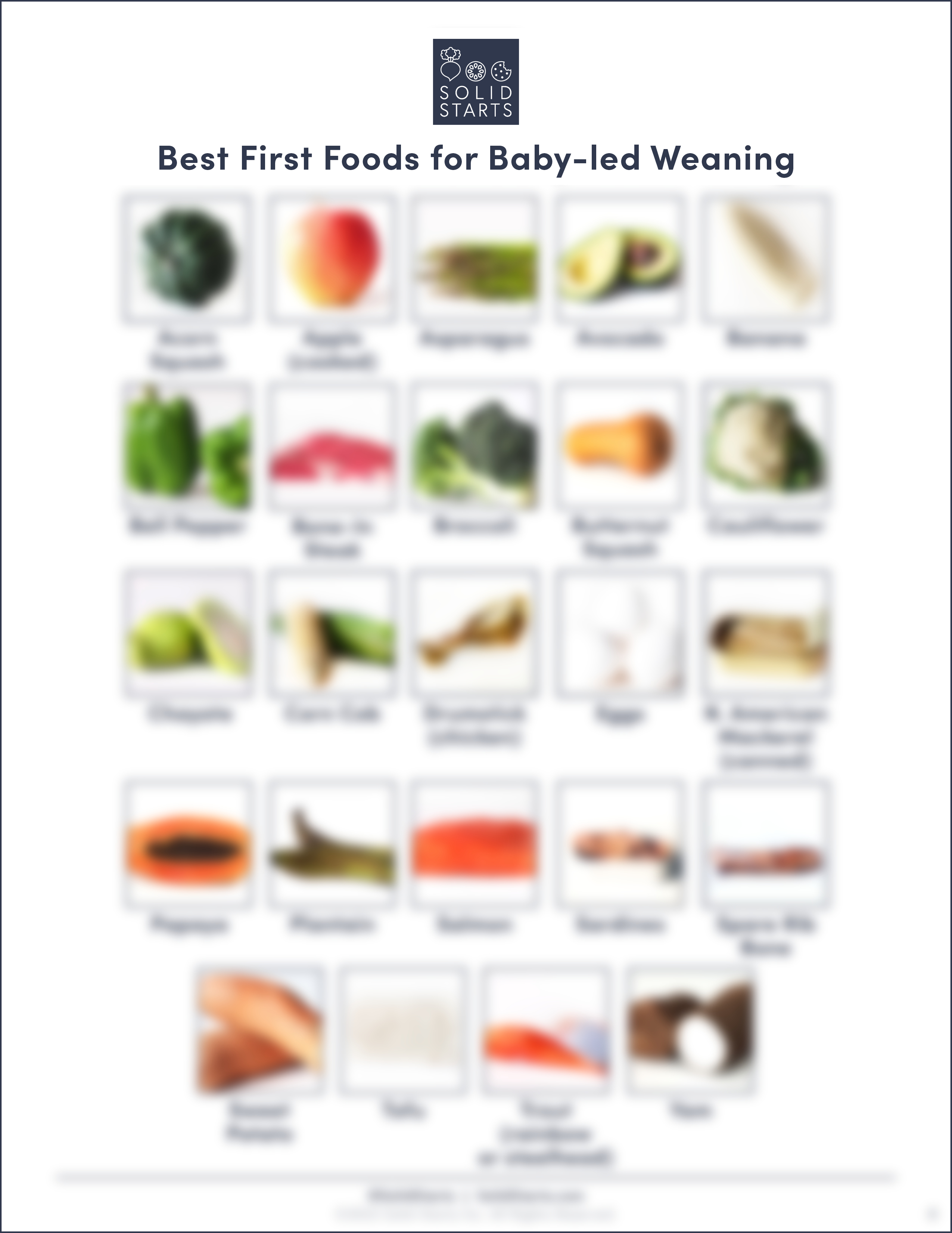 First Foods - Guides for Baby's First Foods Solid Starts