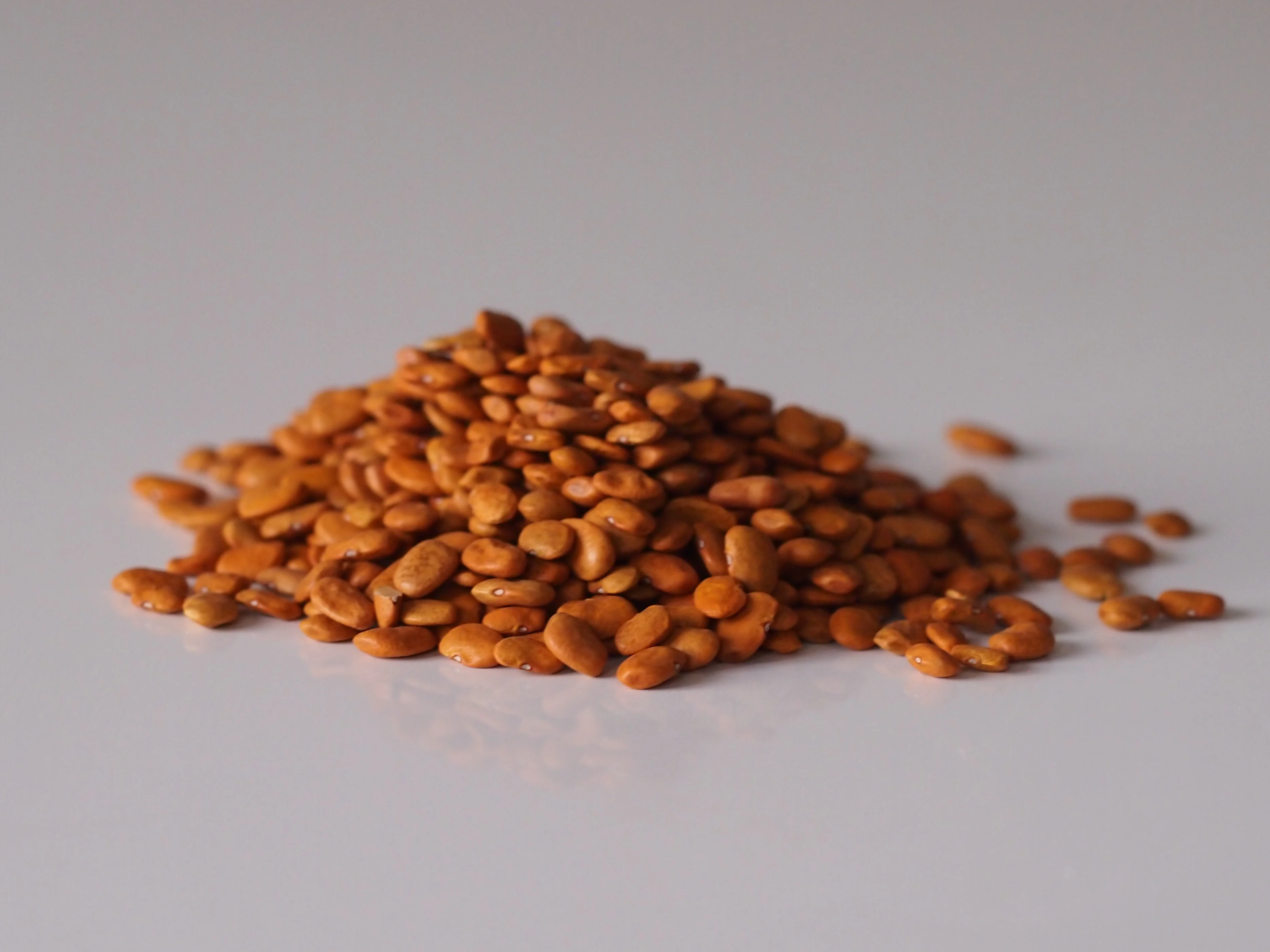 a photograph of a small pile of uncooked tepary beans on a white background