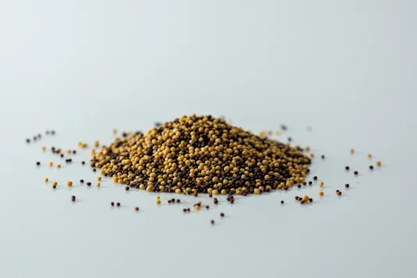 a pile of white and black mustard seeds on a white background