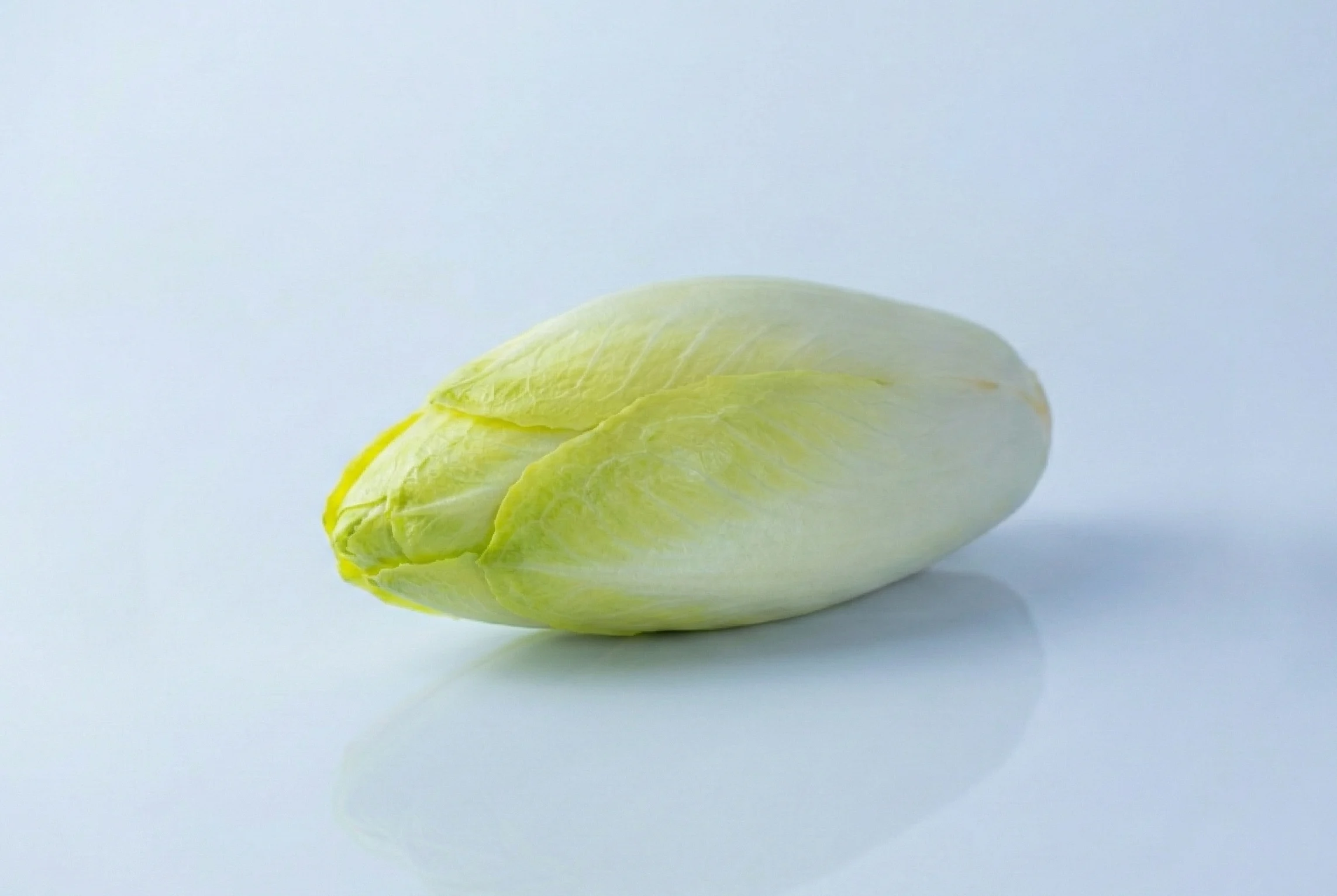 a photograph of a whole raw endive on a white background