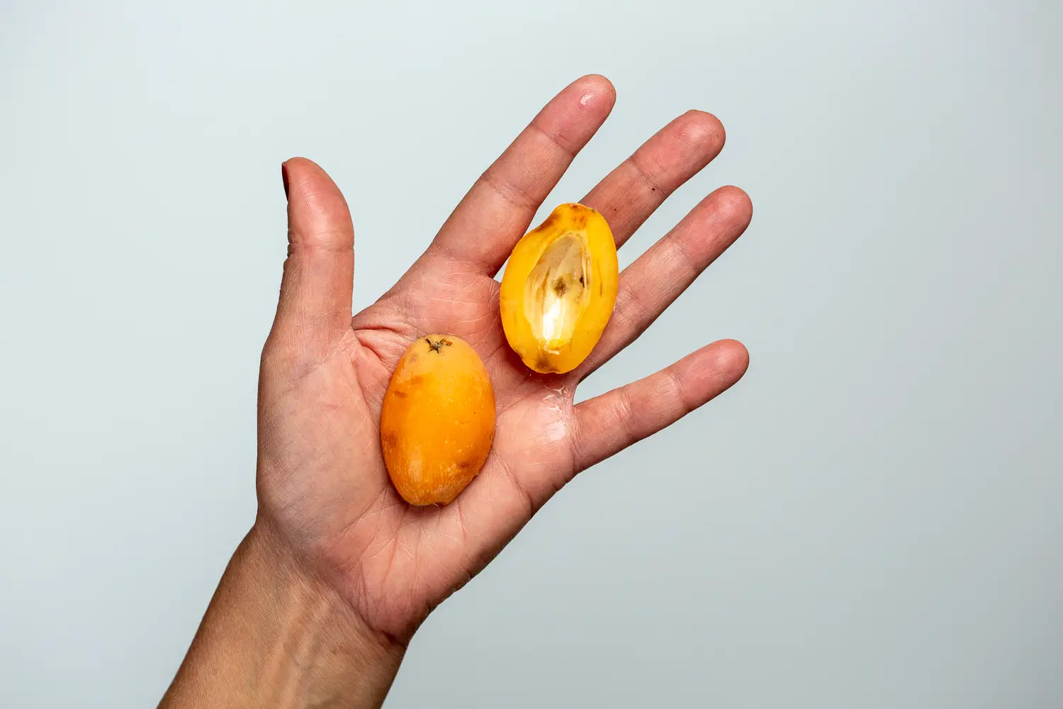 a hand holding two ripe, de-seeded loquat halves for babies 6 months+