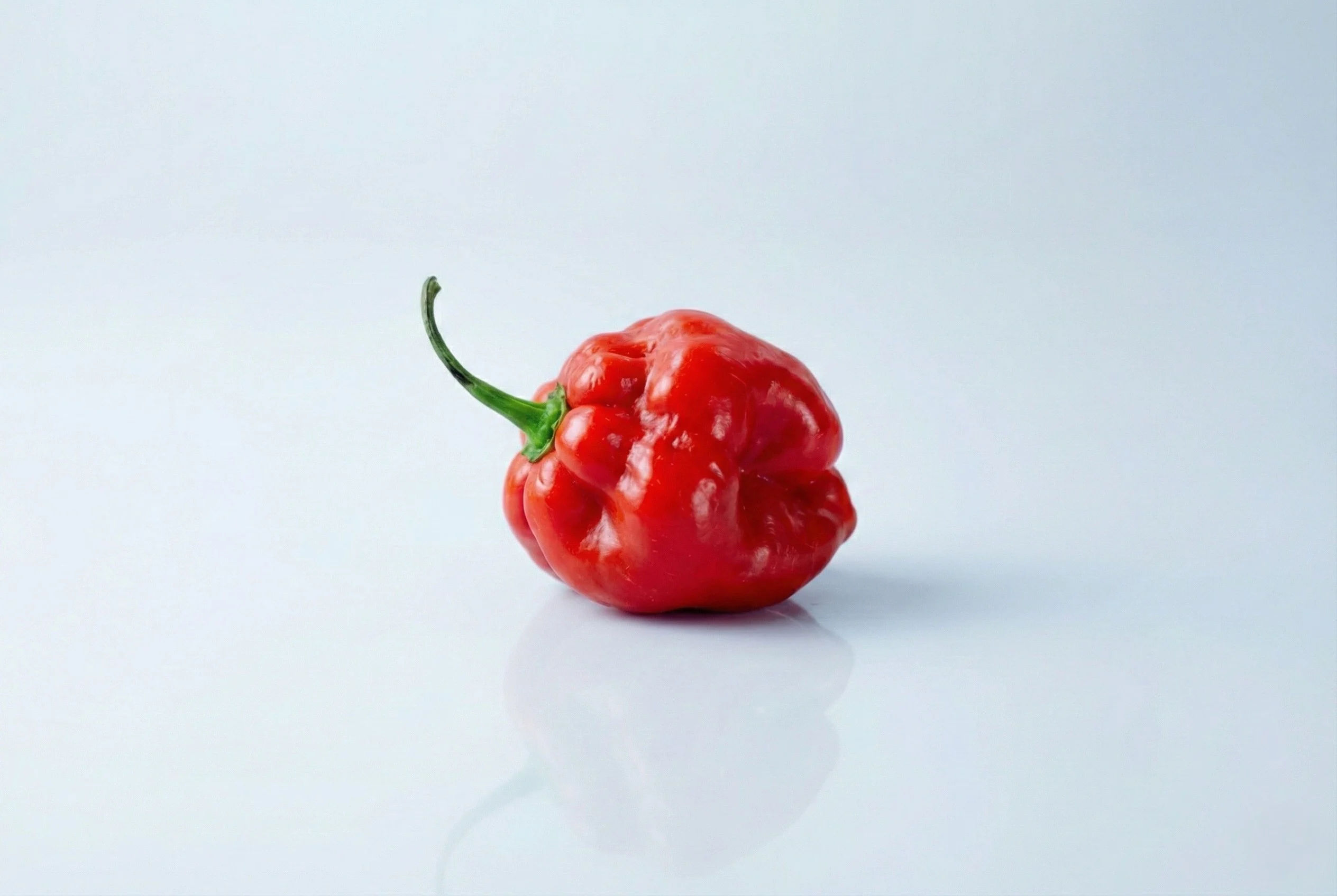 a photograph of a whole raw red rocotillo pepper on a white background