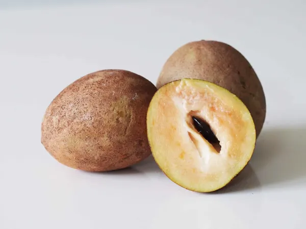two whole sapodilla fruit behind one sapodilla cut in half with a seed inside on a white background