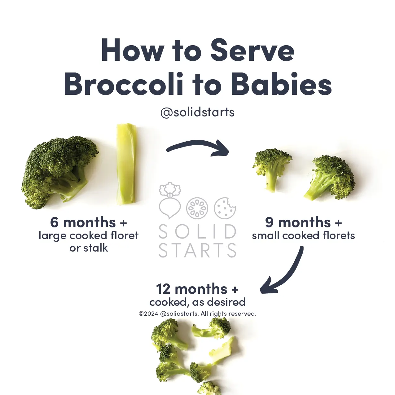 an infographic describing how to prepare broccoli for babies: large steamed florets or stalks for babies 6 months+, smaller steamed florets for babies 9 months+, and bite-sized pieces, which can be cooked less, for toddlers 12 months+