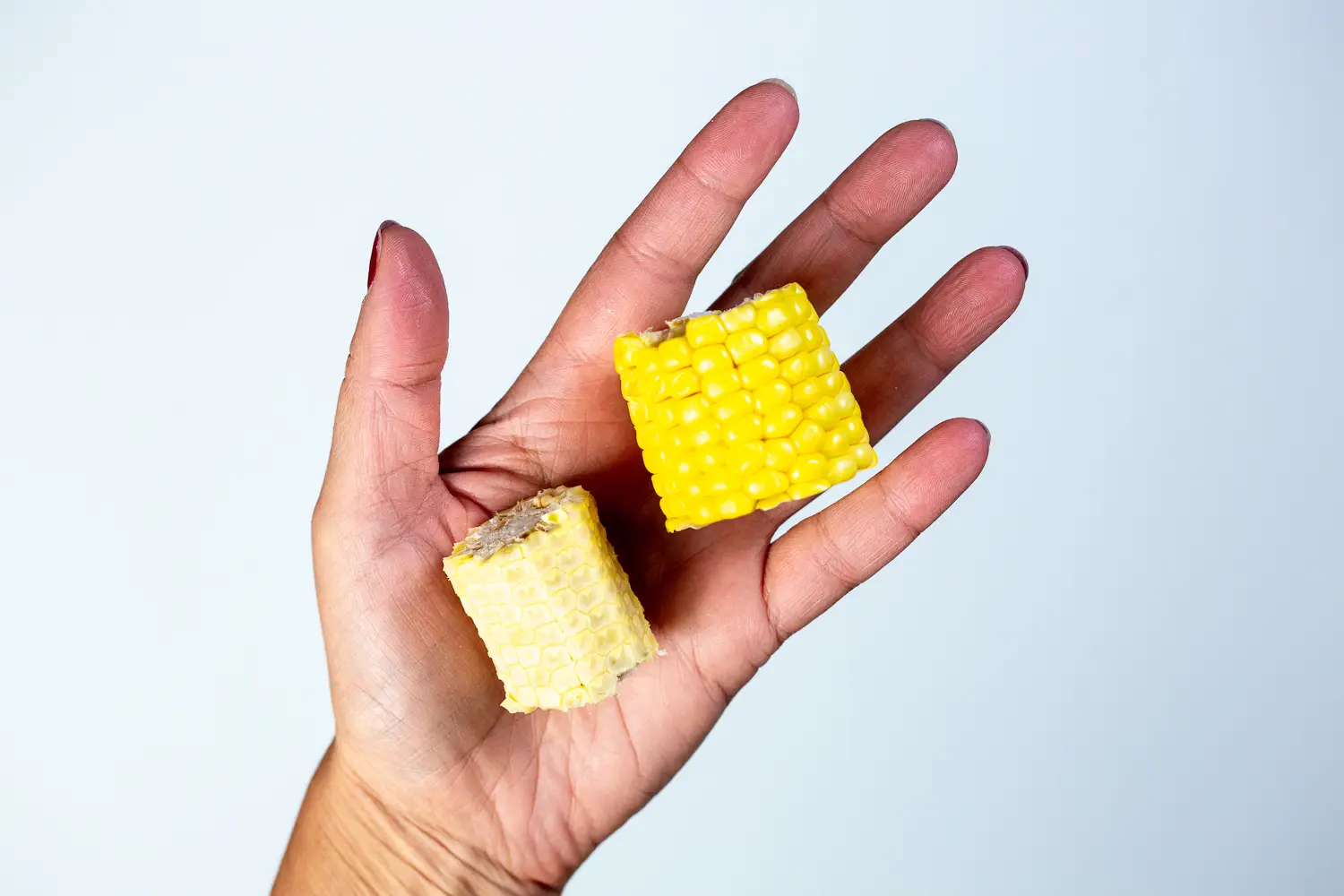 a hand holding two short corn on the cob pieces, one with the kernels shaved off