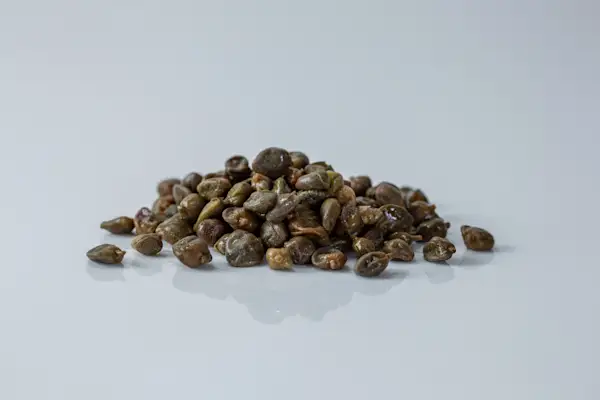 a photograph of a small pile of capers