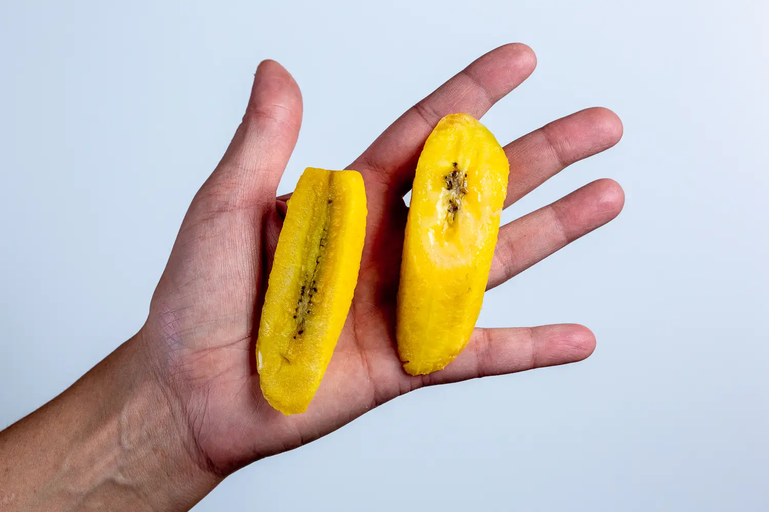 a hand holding two large, cooked pieces of plantain for babies 6 months+