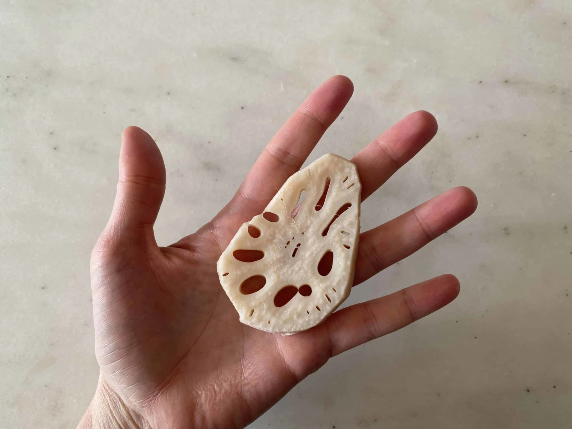 a hand holding a cooked, thin slice of lotus root for babies 6 months+