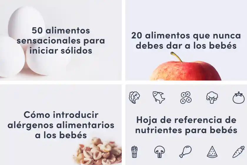 Mini paquete de primeros alimentos