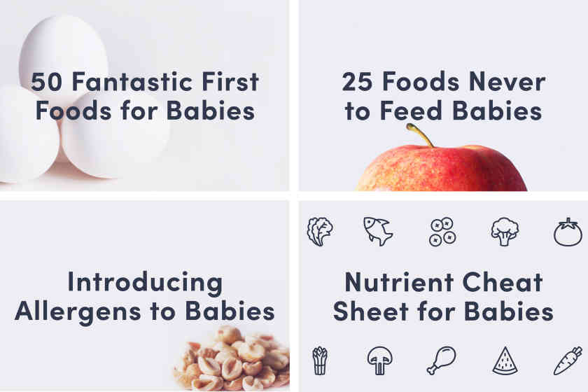 The Solid Starts App - Solid Starts & First Foods Database