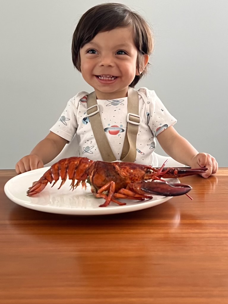 Lobster for Babies - Can my baby have shellfish? - Solid Starts