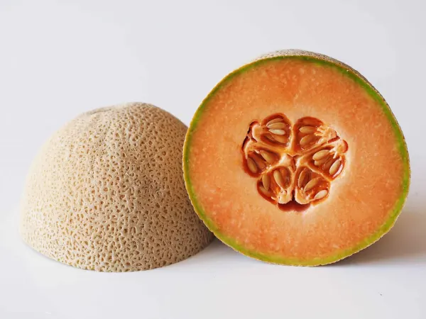 a cantaloupe cut in half before being prepared for babies starting solids