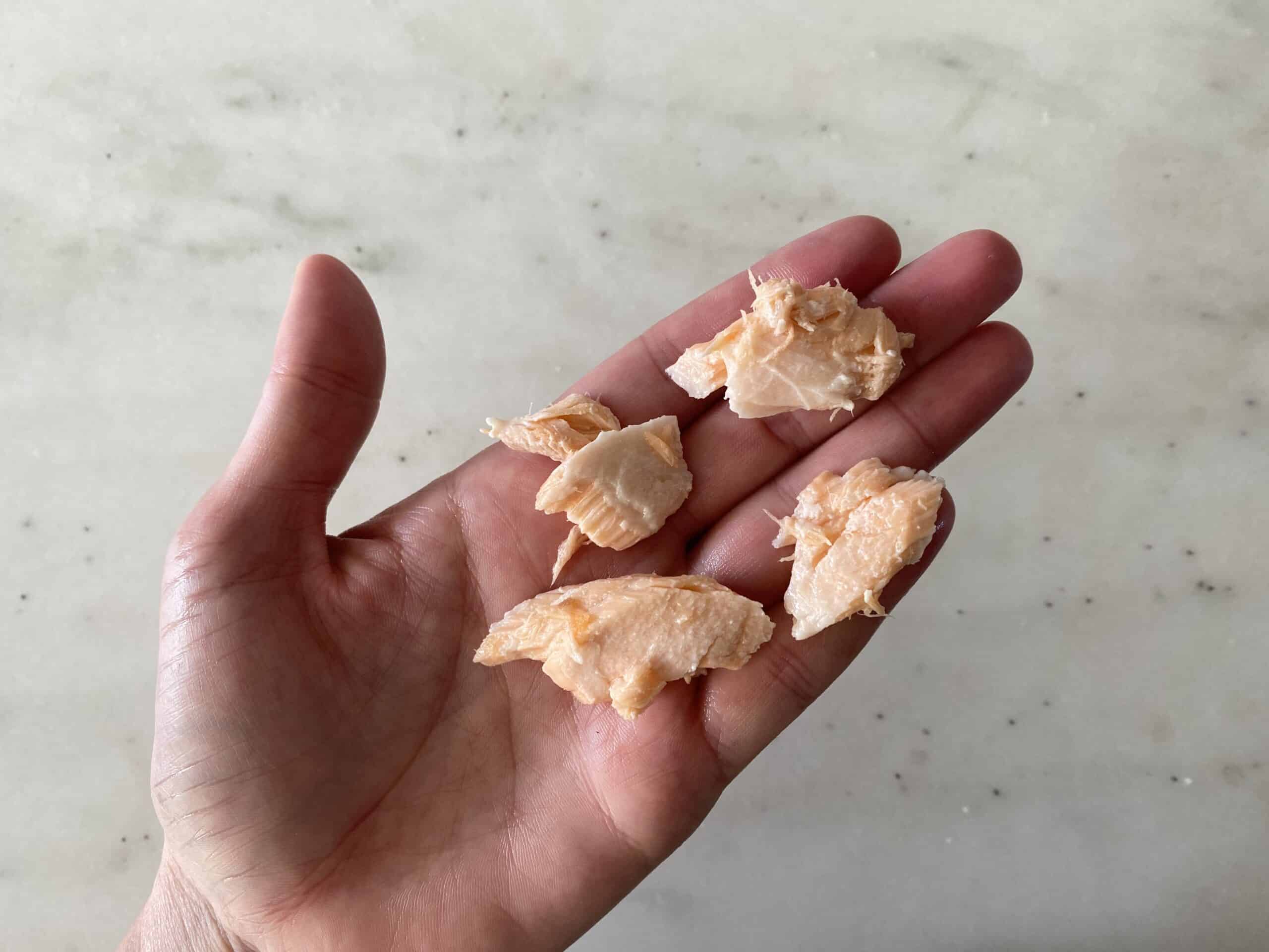 A hand holding four bite-sized pieces of cooked boneless salmon fillet for babies 9 months +