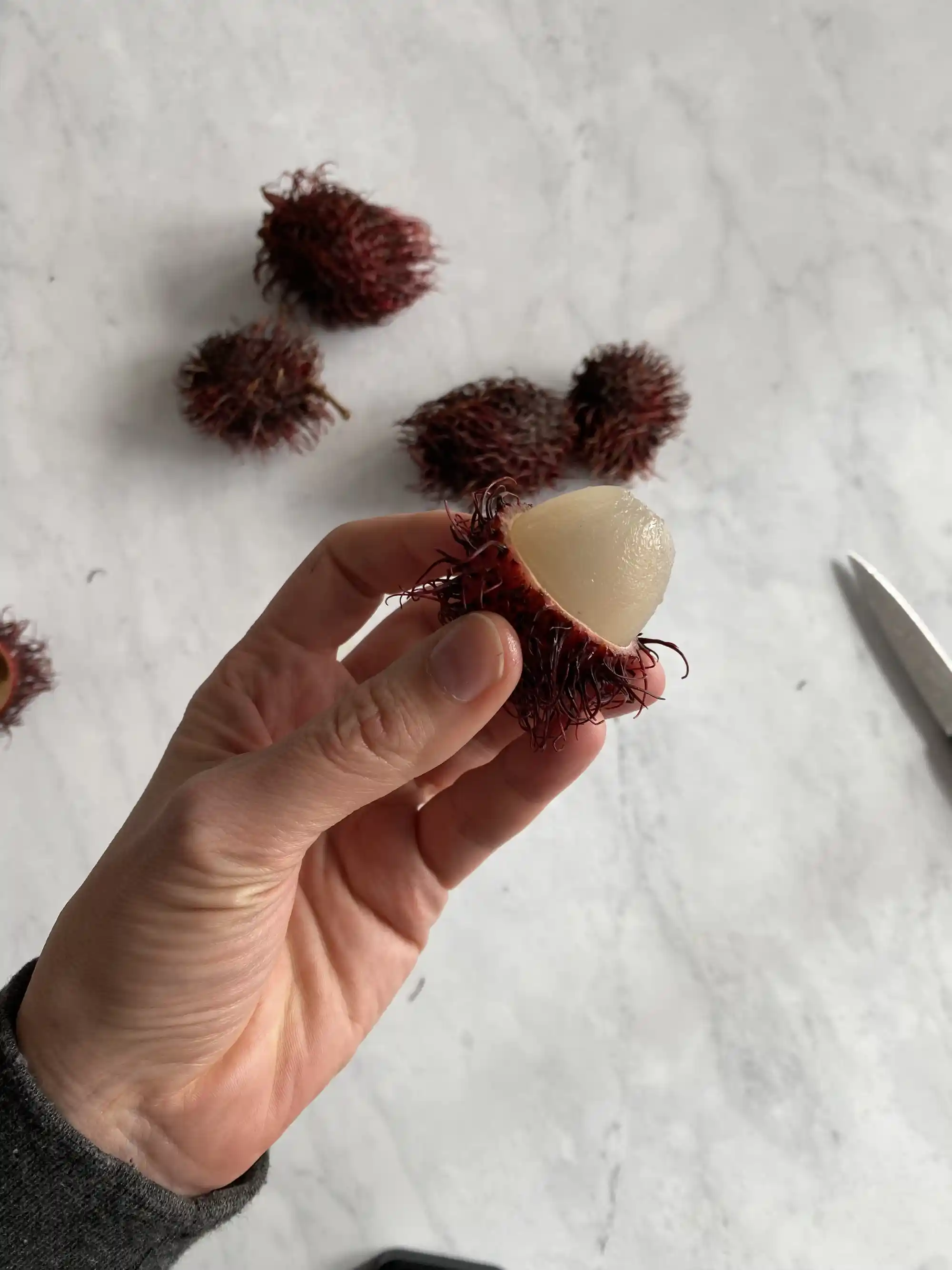 hand holding a single rambutan fruit, whose skin has been sliced across the equator to expose a pale white fruit inside
