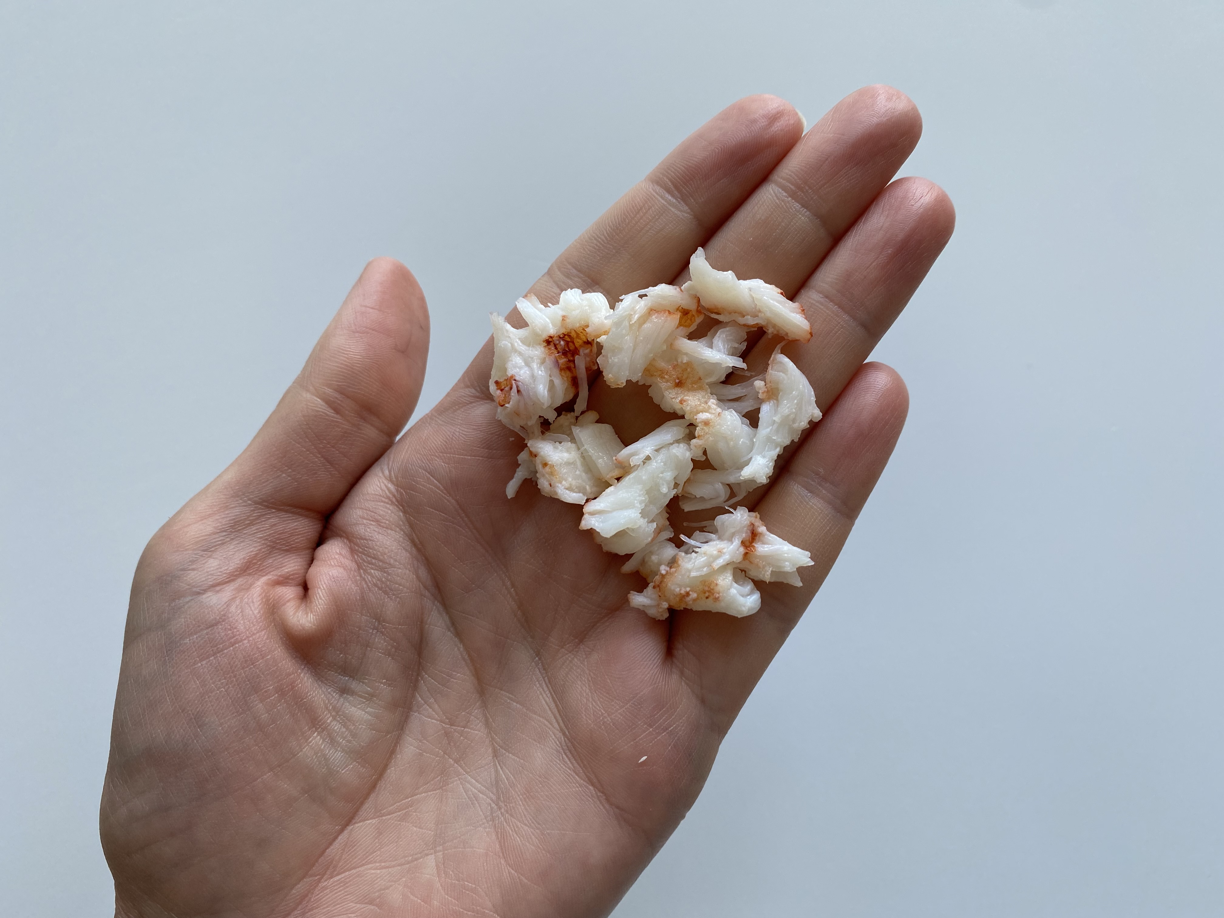 a hand holding a small pile of shredded pieces of lobster meat