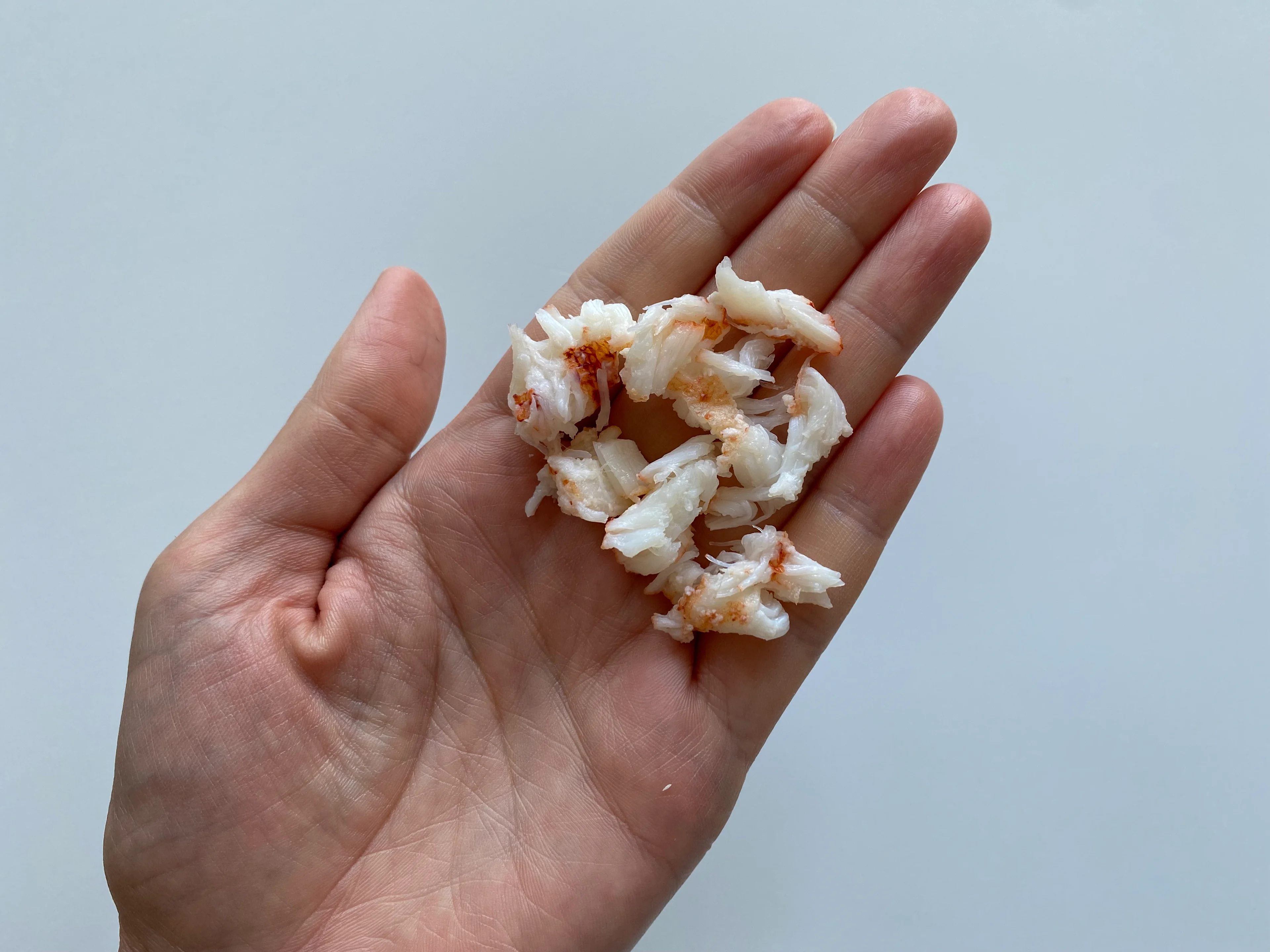 Lobster shredded pieces Solid Starts