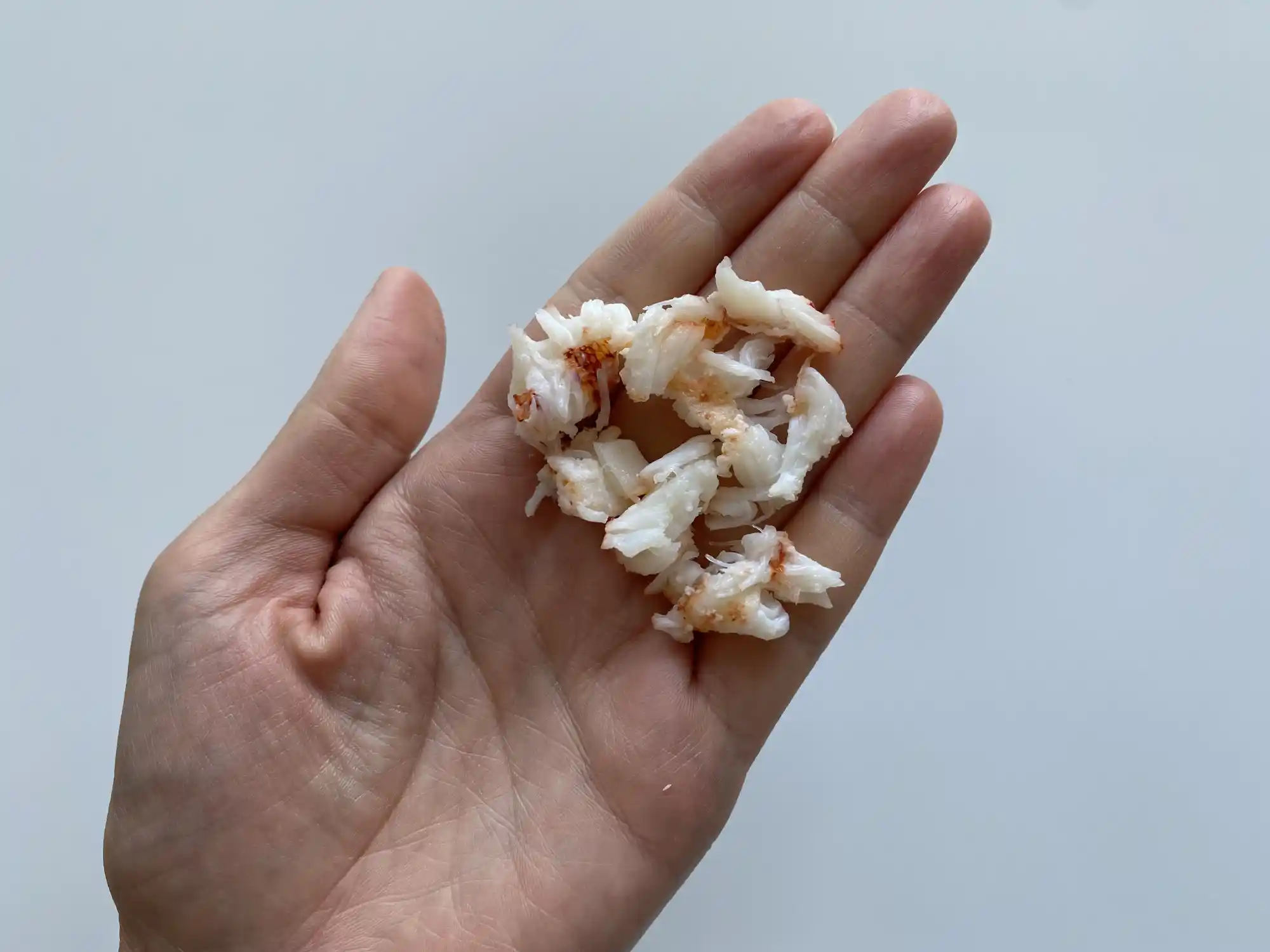 a hand holding a small pile of shredded pieces of lobster meat