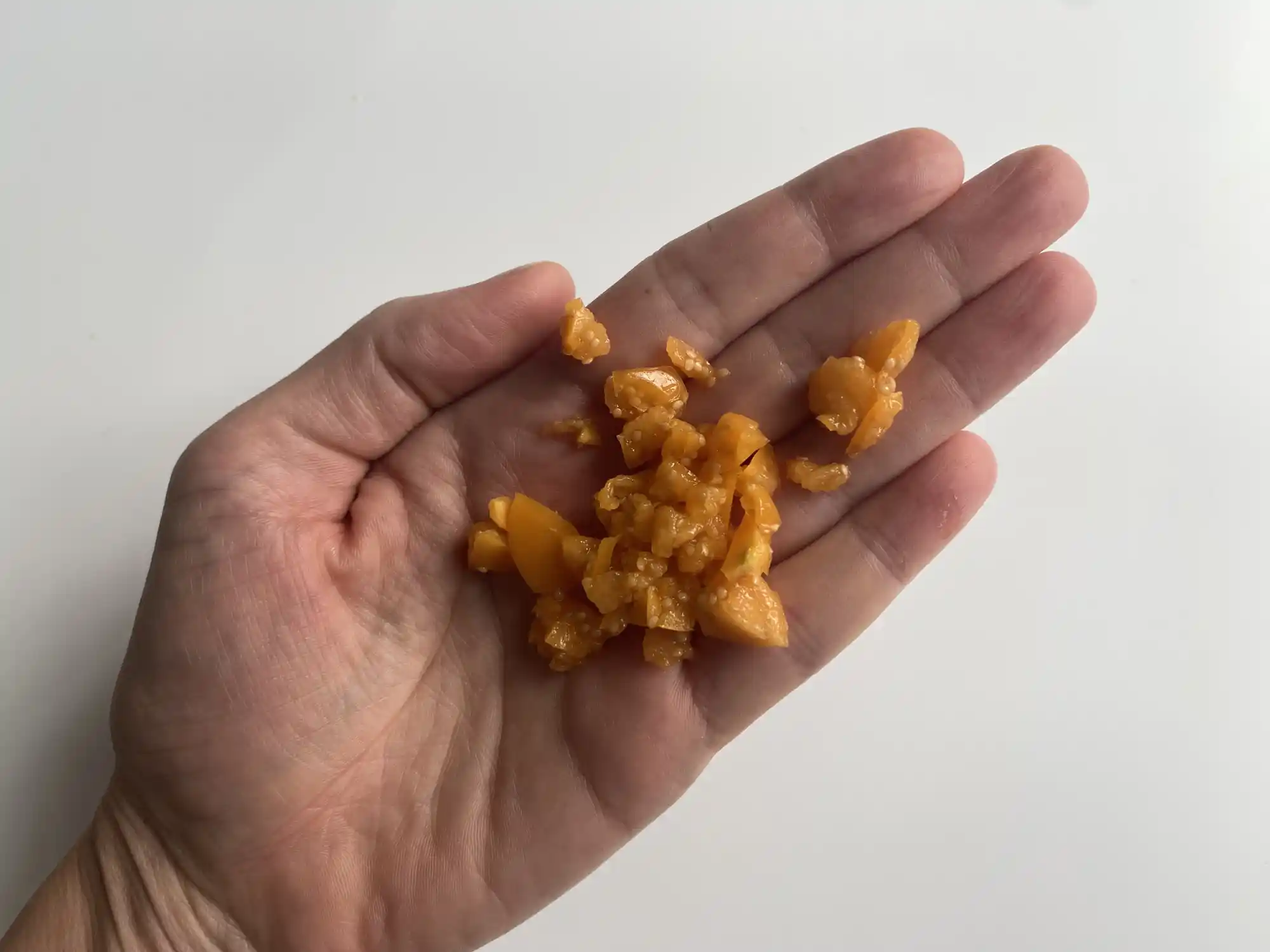 a hand holding a small pile of chopped ripe goldenberry for babies 6 months+