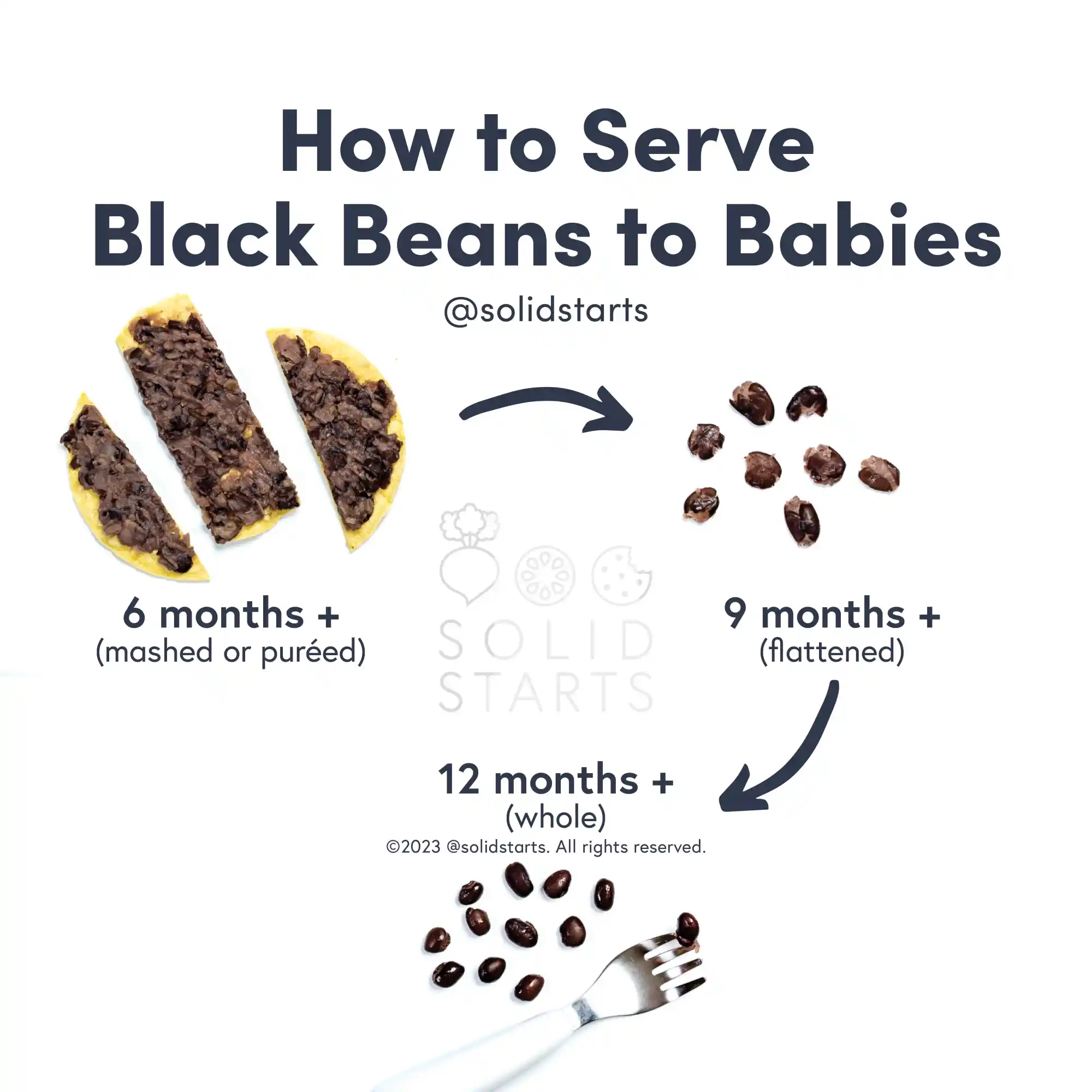 a Solid Starts infographic with the header How to Serve Black Beans to Babies: mashed or pureed for 6 months+, flattened for 9 months+, and whole for 12 months+