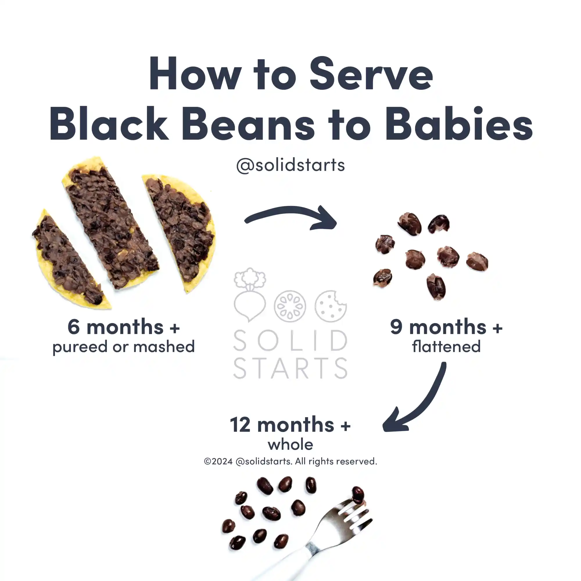 a Solid Starts infographic with the header How to Serve Black Beans to Babies: mashed or pureed for 6 months+, flattened for 9 months+, and whole for 12 months+