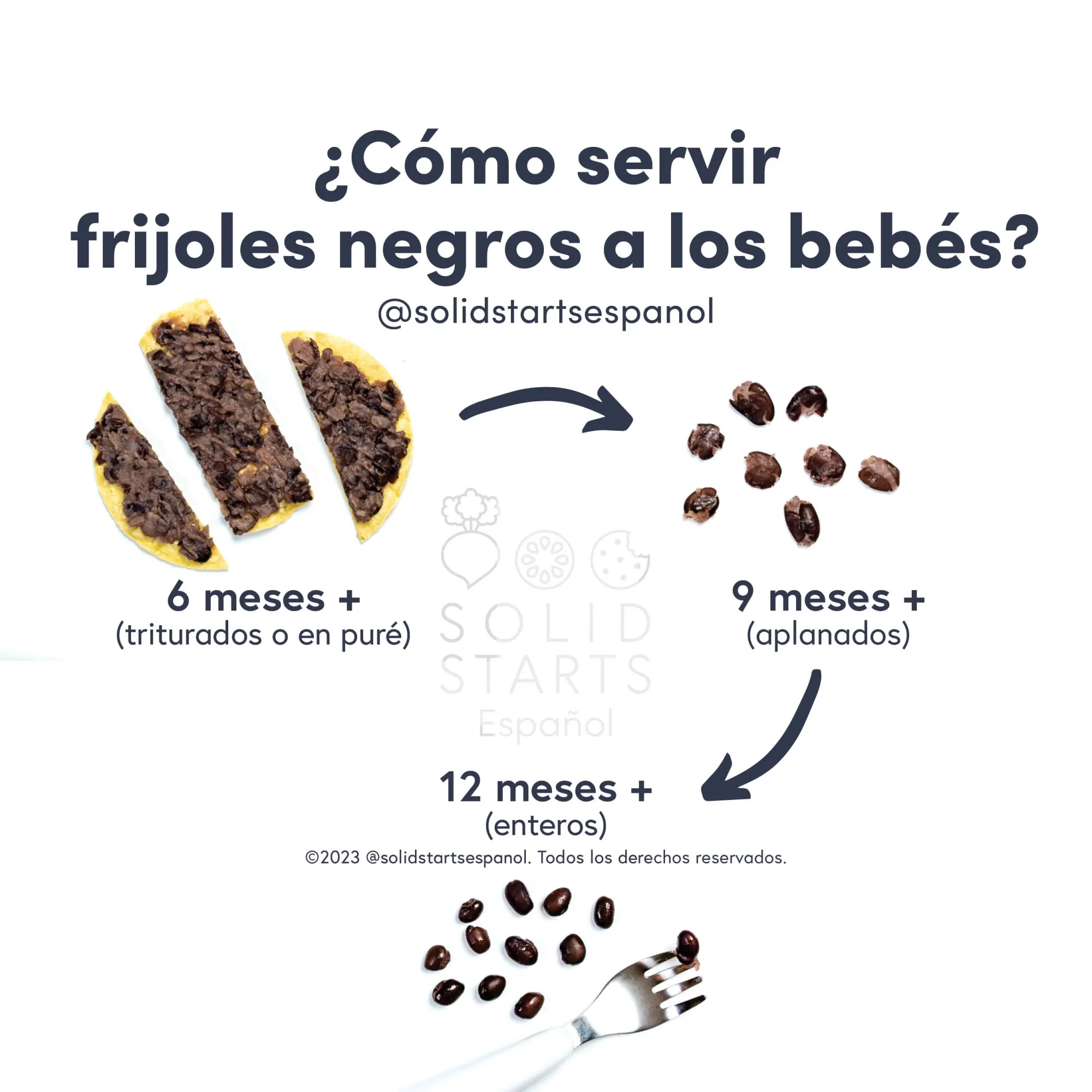 a Solid Starts infographic with the header How to Serve Black Beans to Babies: mashed or pureed for 6 months+, flattened for 9 months+, and whole for 12 months+