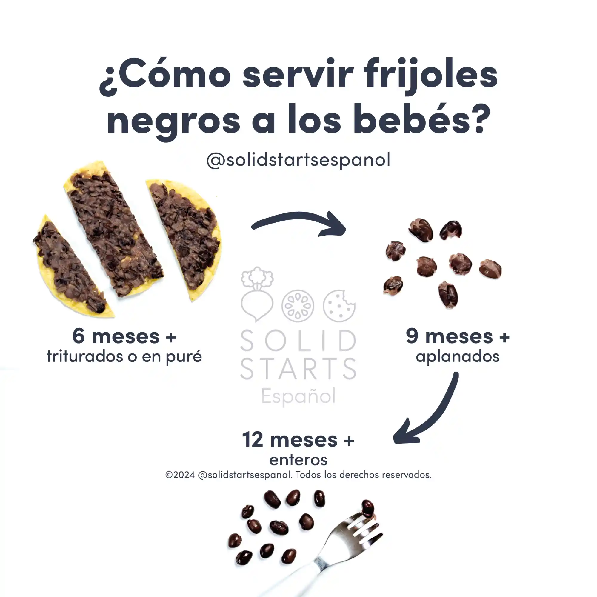 a Solid Starts infographic with the header How to Serve Black Beans to Babies: mashed or pureed for 6 months+, flattened for 9 months+, and whole for 12 months+