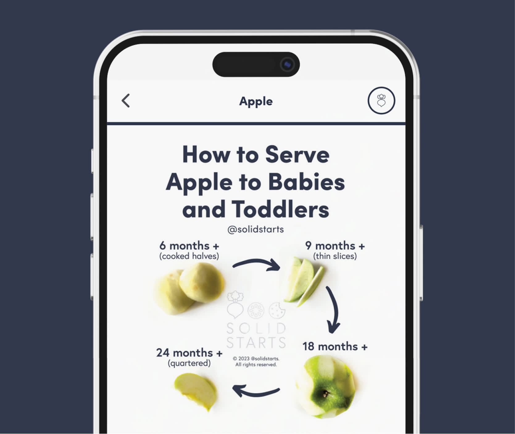 The Solid Starts App - Solid Starts & First Foods Database