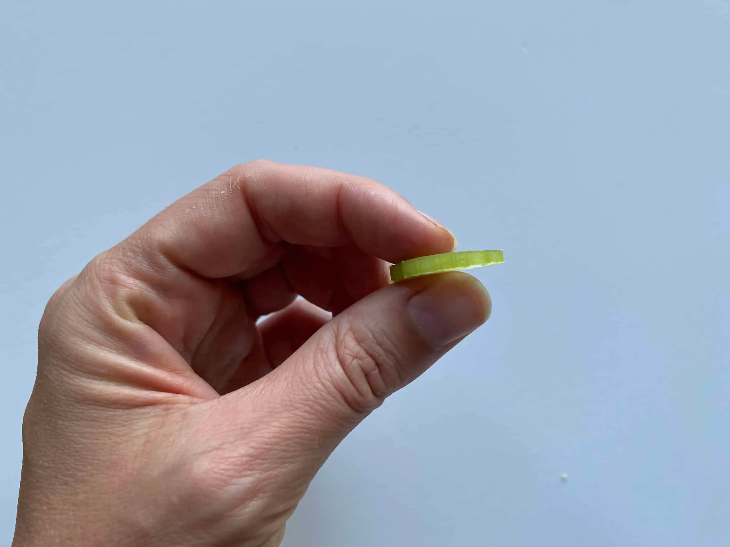 celery half moon sliver side view Solid Starts