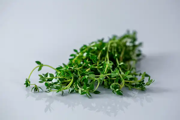 Thyme For Babies Solid Starts thyme-for-babies-solid-starts