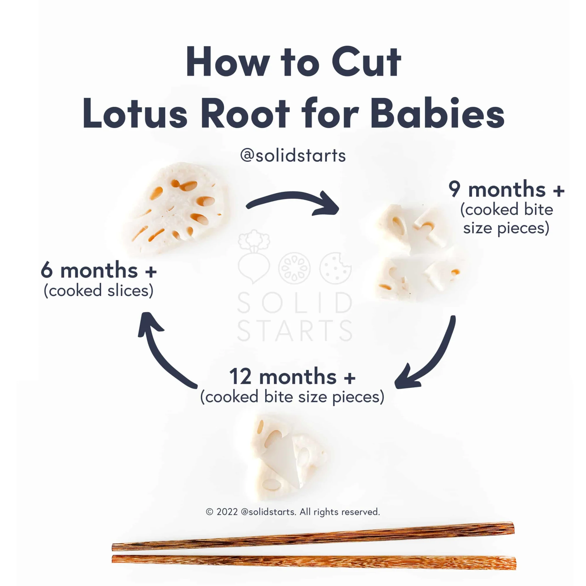 a Solid Starts infographic with the header "How to Cut Lotus Root for Babies": cooked thin slices for 6 months+, cooked bite-sized pieces for 9 months+, and cooked bite-sized pieces pictured next to chopsticks for 12 months+