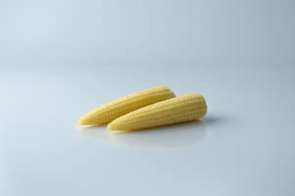 When can babies have baby corn a photograph of two whole pieces of baby corn on a white background