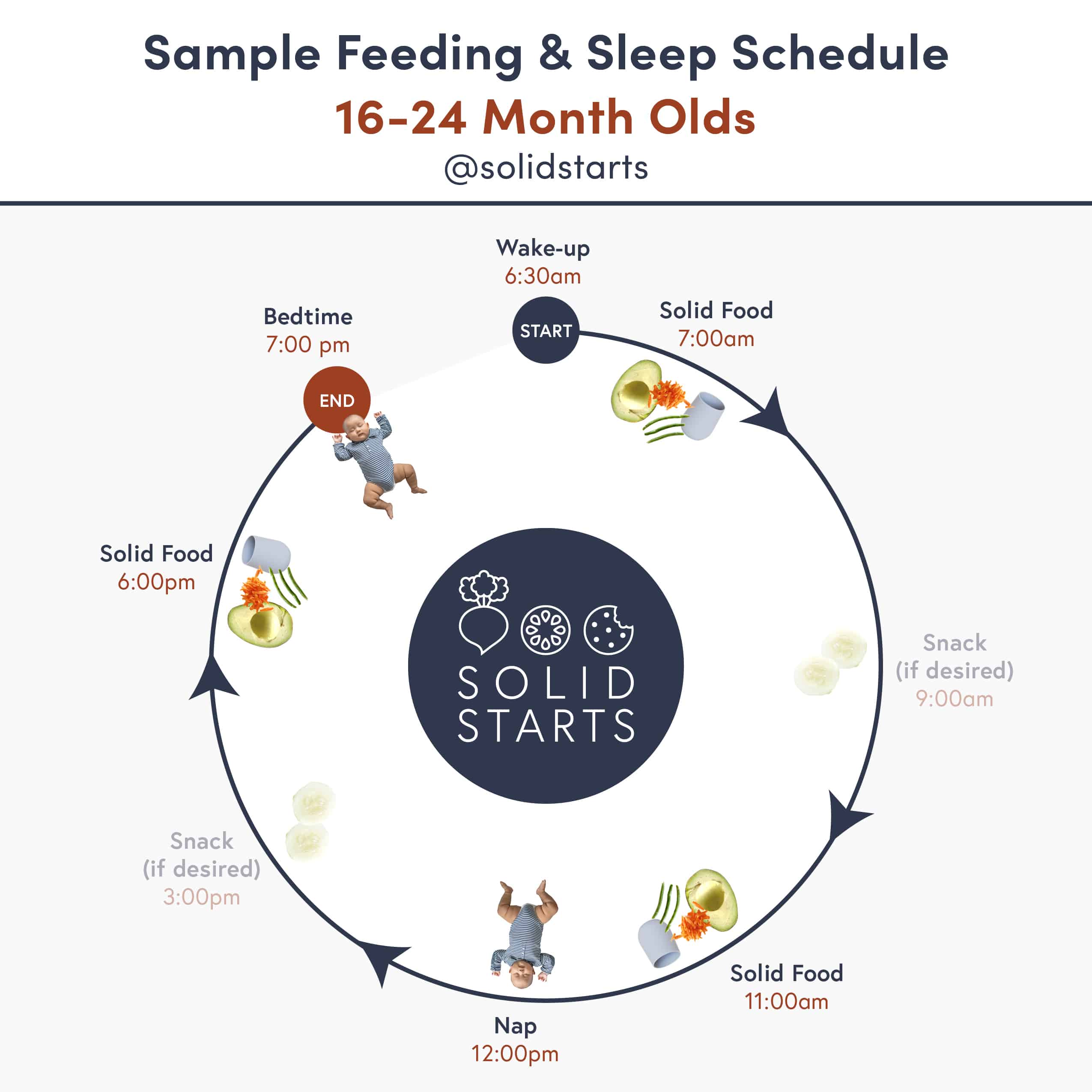 Baby feeding chart: Baby food by age guide