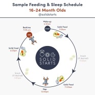 Baby Feeding Schedules By Month From 6 To 24 Months Solid Starts