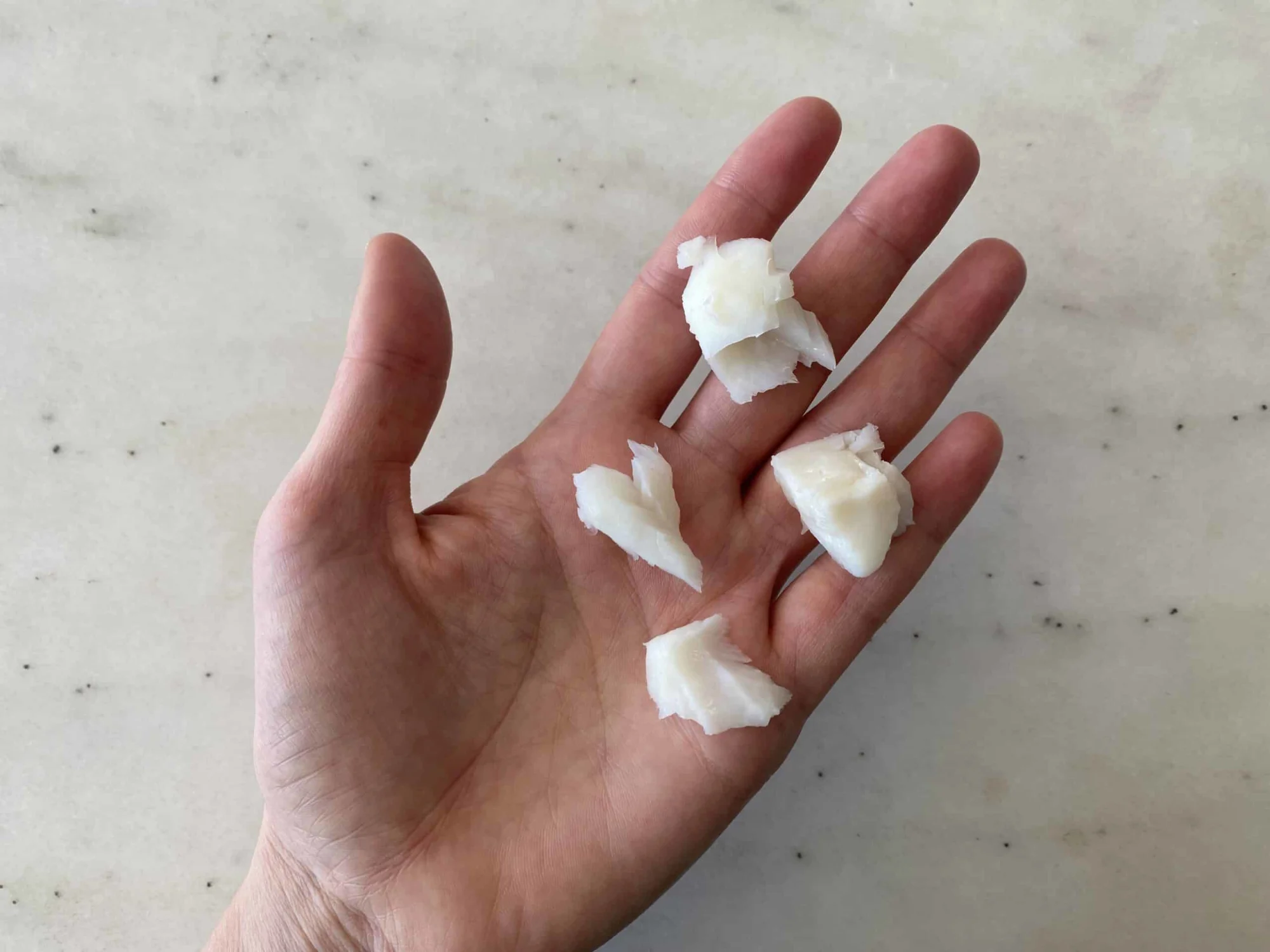 a hand holding four bite-sized pieces of cooked deboned halibut for babies 9 months+
