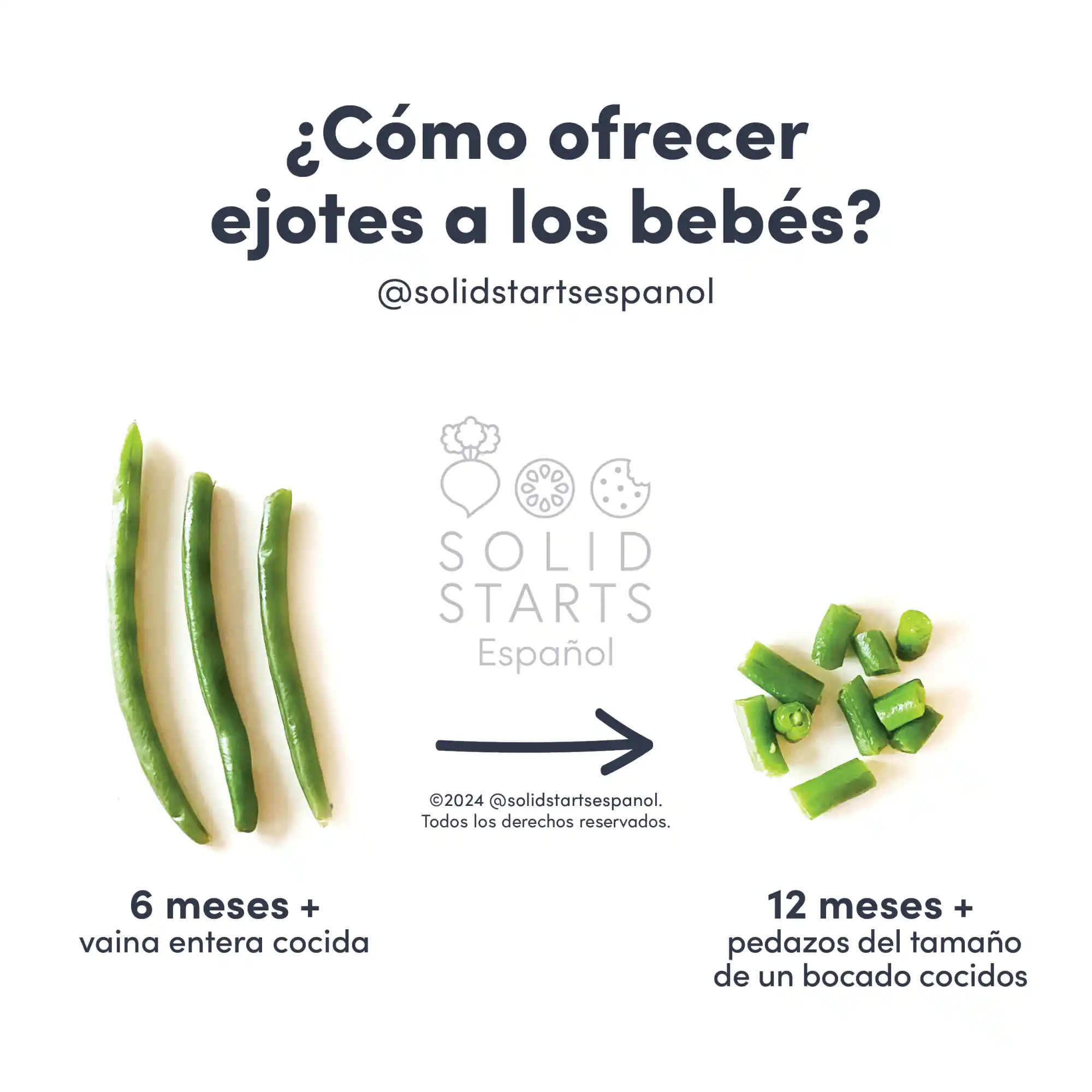 An infographic Titled How to Cut Green Beans for Babies and images showing whole, cooked green beans at 6-12 months+, bite size pieces at 12-18 months+, and either whole or bite size pieces for 18 months +