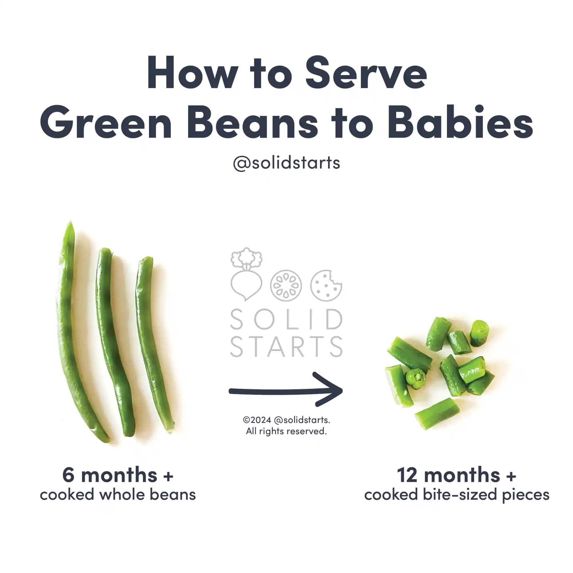 An infographic Titled How to Cut Green Beans for Babies and images showing whole, cooked green beans at 6-12 months+, bite size pieces at 12-18 months+, and either whole or bite size pieces for 18 months +
